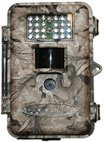 DCL Covert II Assassin