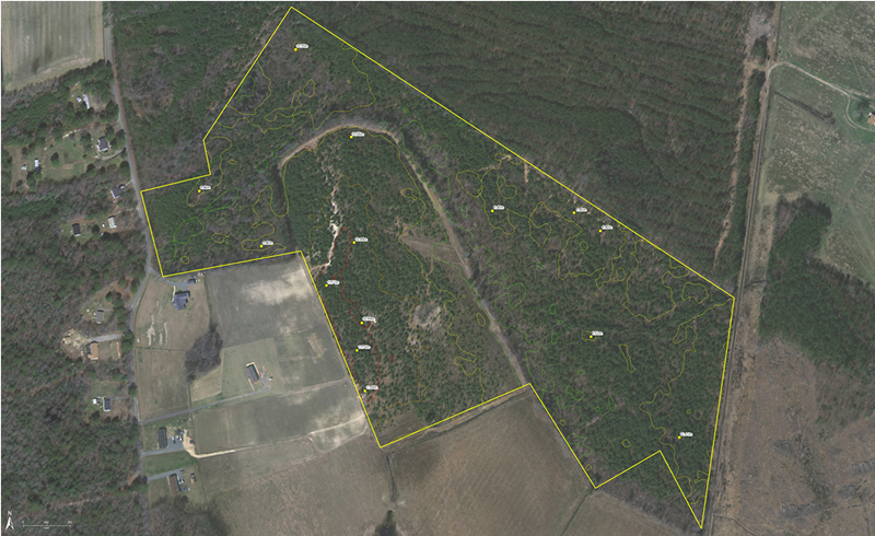 Property map