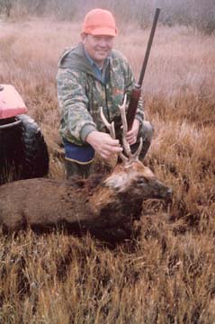 sika stag hunting