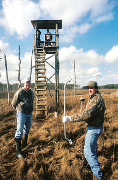 sika deer stand 