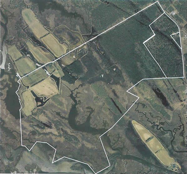 Sika Deer Hunting Property for Sale